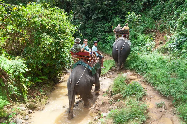 Na slonech v národním parku khao sok — Stock fotografie