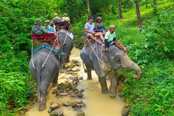 Trekking pour éléphants dans le parc national de Khao Sok — Photo