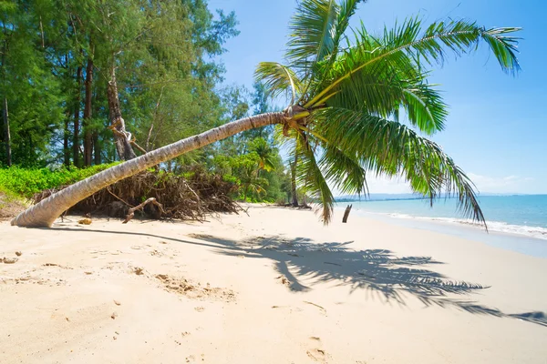 Bella spiaggia tropicale in Thailandia — Foto Stock