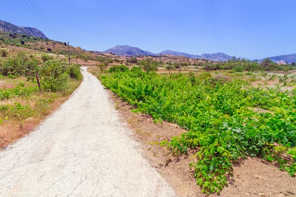 Side road at the sea on Crete, Greece — Stock Photo, Image