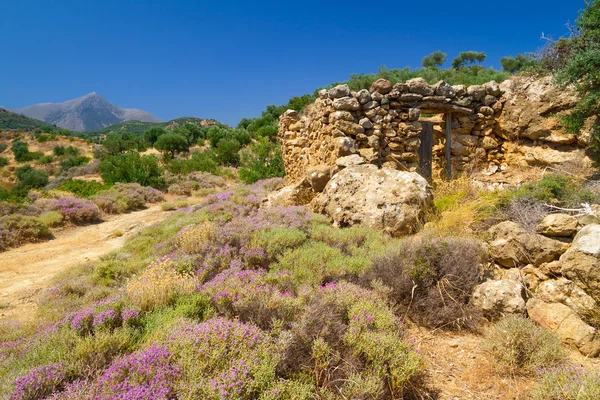 Rotsachtige landschap van Kreta — Stockfoto