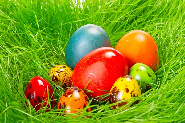 Uova di Pasqua nell'erba — Foto Stock