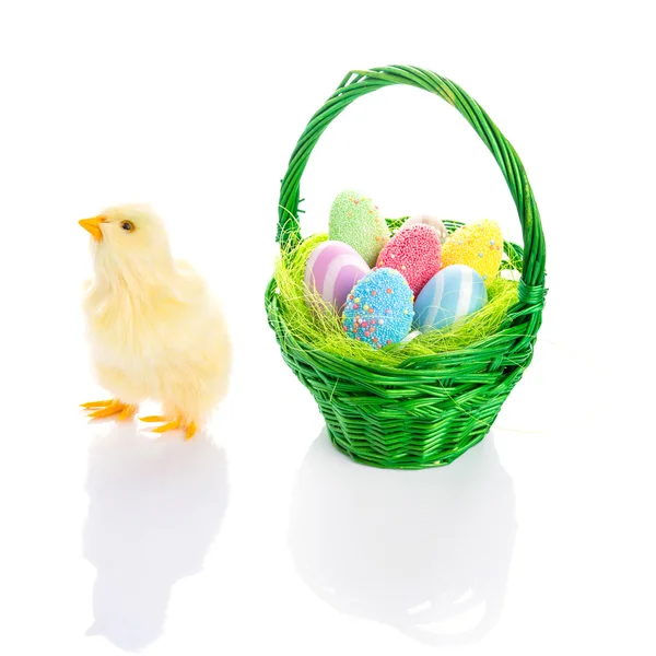Chick and Easter basket with eggs — Stock Photo, Image