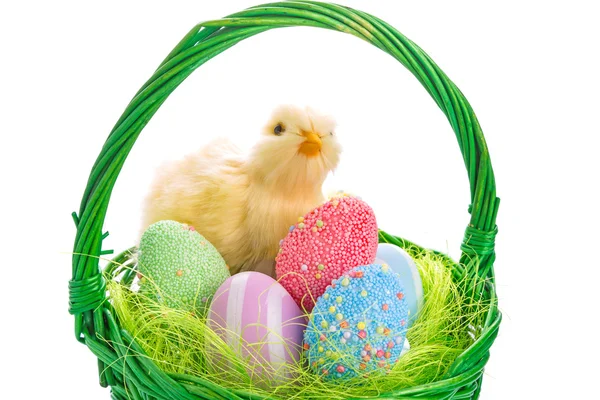 Chick and Easter basket with eggs — Stock Photo, Image