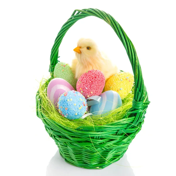 Chick and Easter basket with eggs — Stock Photo, Image