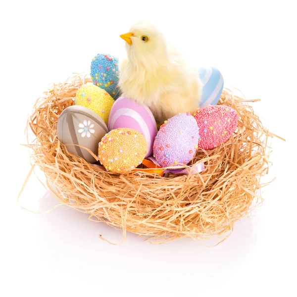 Easter eggs and chick in the nest — Stock Photo, Image