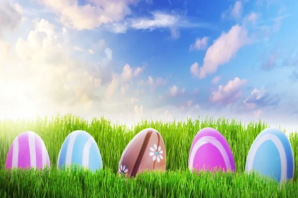 Colorate uova di Pasqua sul prato perfetto — Foto Stock