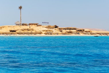 Turkuaz sudan Kızıl Deniz