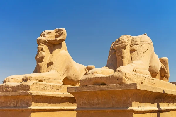 Statues de sphinx à tête de bélier dans le temple Karnak — Photo