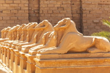 Koç başlı Sfenks karnak tapınağında heykelleri