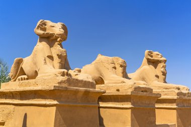 Koç başlı Sfenks karnak tapınağında heykelleri