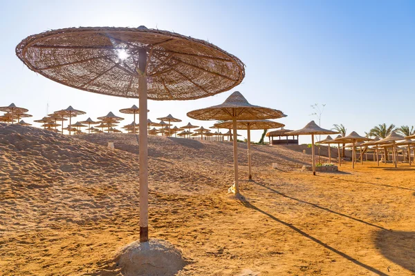 Slunečníky na pláži Rudého moře — Stock fotografie