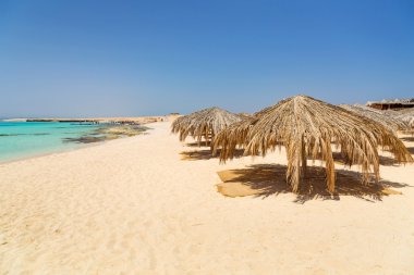 Mısır'daki mahmya adasının idyllic beach