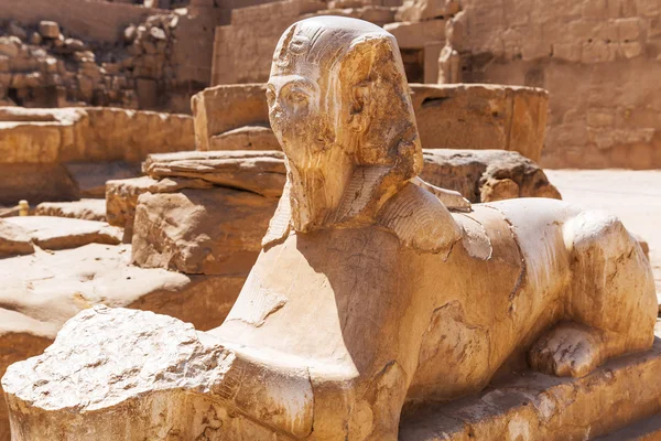 Estátua antiga da esfinge no templo de Karnak — Fotografia de Stock