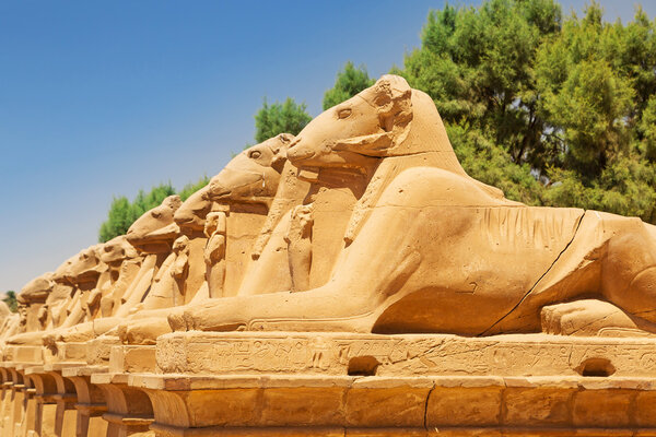 Ancient statues of Ram-headed sphinxes in Karnak temple