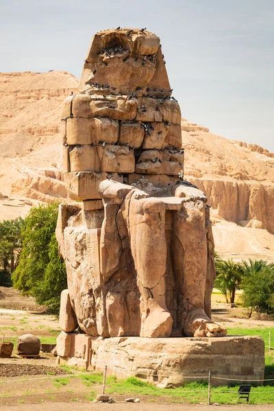 Os Colossi de Memnon no Egito — Fotografia de Stock