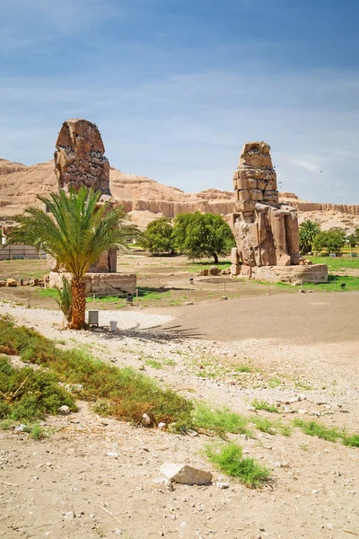 The Colossi of Memnon in Egypt — Stock Photo, Image