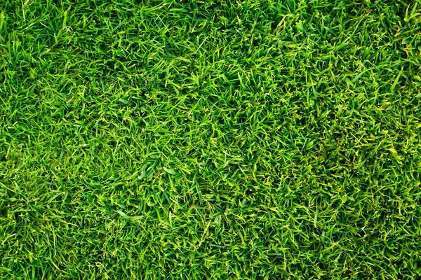 Green grass pattern — Stock Photo, Image