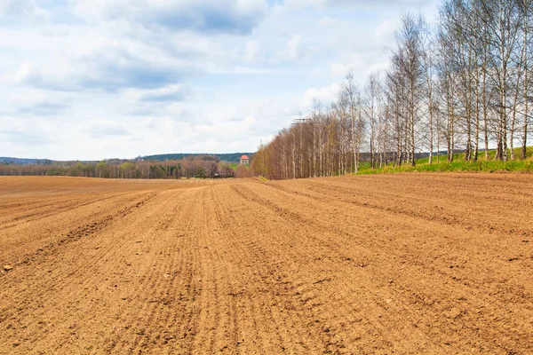 Boerderij veld in de de lentetijd — Stockfoto