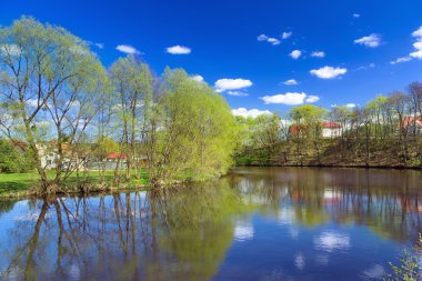 Nehirde pastoral yaz toplayan