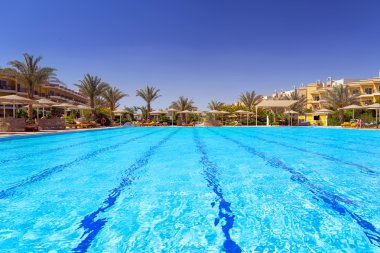 hurghada Resort tropikal yüzme