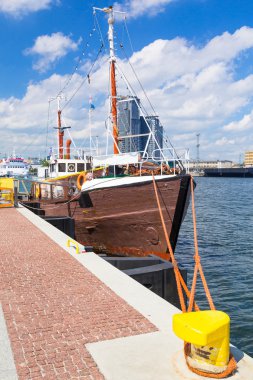 gdynia Şehir Baltık denizde toplayan