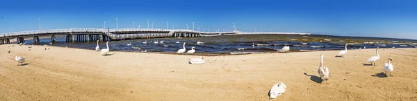 Panorama z mola v Sopoty, Polsko — Stock fotografie