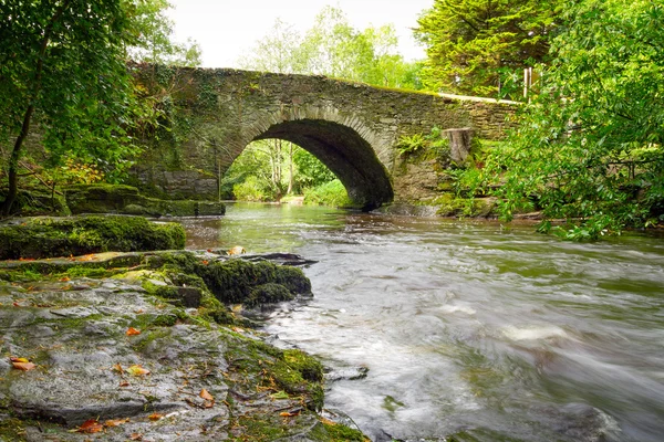 Schöner Bach von clare glens — Stockfoto