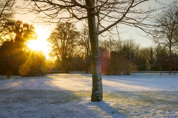 Sunrise over frozen park — Stock Photo, Image