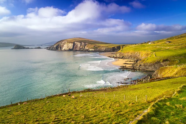Dunquin Bucht in co. kerry — Stockfoto
