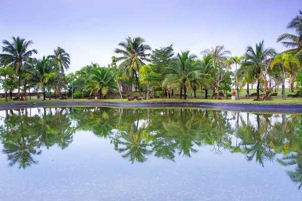Tropisk djungel på koh kho khao återspeglas i dammen — Stockfoto