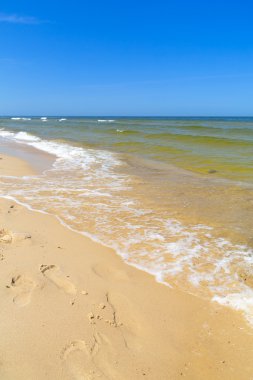 Baltık Denizi 'ndeki plaj