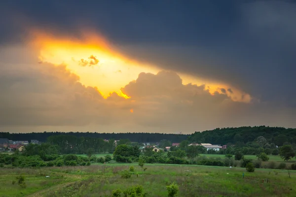 Pôr do sol de verão sobre a floresta — Fotografia de Stock