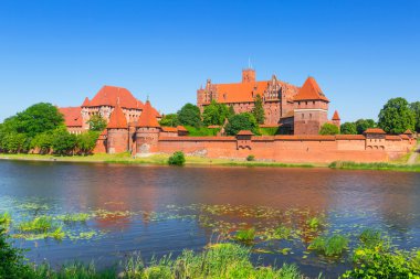 Yaz manzarası Malbork castle
