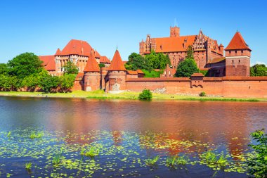 Yaz manzarası Malbork castle
