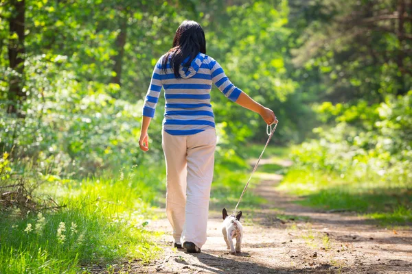 Spaziergang mit dem Hund — Stockfoto