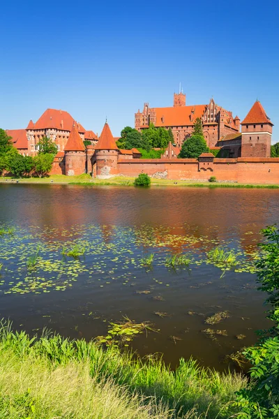 Мальборкский замок в летних пейзажах — стоковое фото