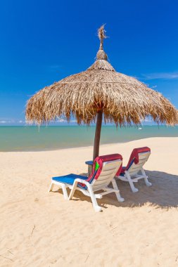 tropik sahil sahne şemsiye ve şezlonglar