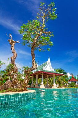 tropik tatil sahne