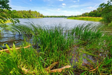 Sakin göl manzarası