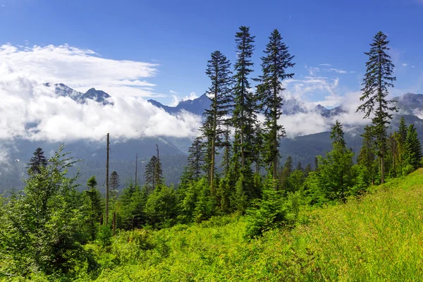 Sabah puslu tatra Dağları — Stok fotoğraf