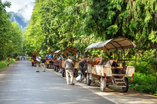 Horse carts in Tatra National Park — Stock Photo, Image