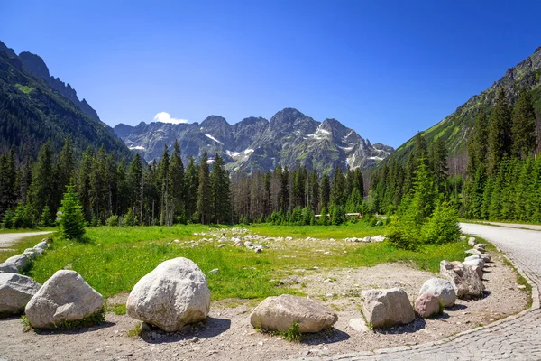 Prachtige landschap van wlosienica weide in tatra bergen — Stockfoto