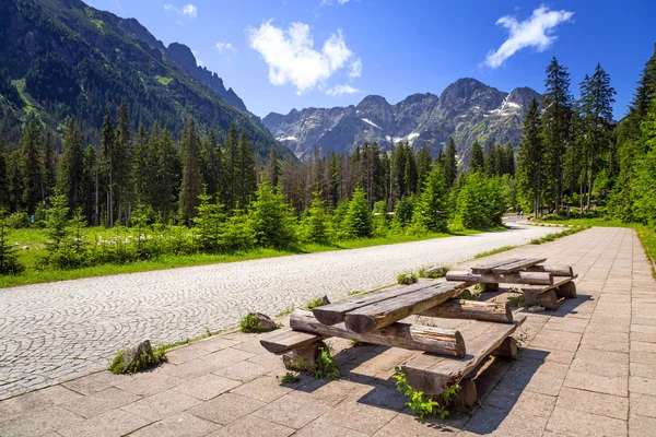 Tatra 산에 Wlosienica 풀밭의 아름 다운 풍경 — 스톡 사진