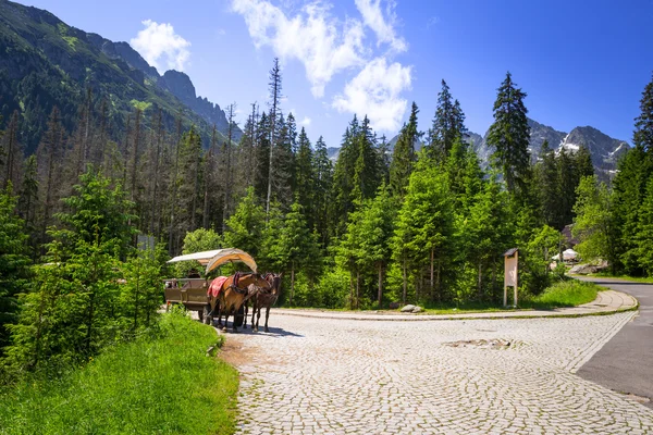 Kočárem s koňmi do Tatranského národního parku — Stock fotografie