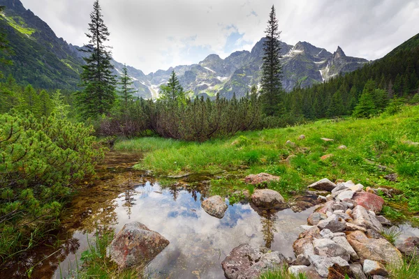 Hermoso paisaje de las montañas de Tatra — Foto de Stock