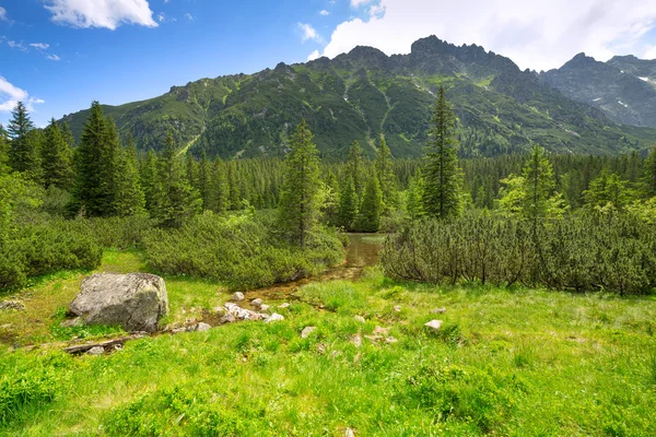 Prachtige landschap van tatra gebergte — Stockfoto