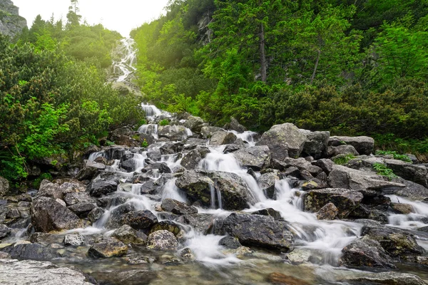 Cascate di torrente di montagna nel Parco Nazionale di Tatra — Foto Stock