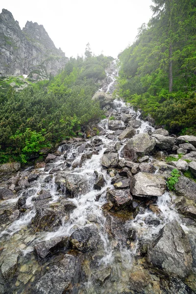 Cascades of mountain creek in Tatra National Park — Stock Photo, Image