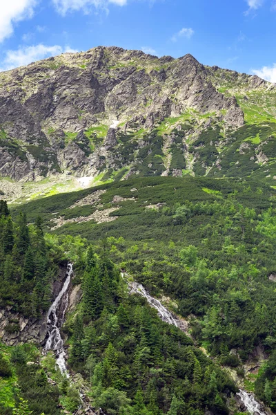 Cascate di torrente di montagna nel Parco Nazionale di Tatra — Foto Stock